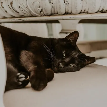 Shepherd - Luxury Fuerteventura Pensionat Lajares